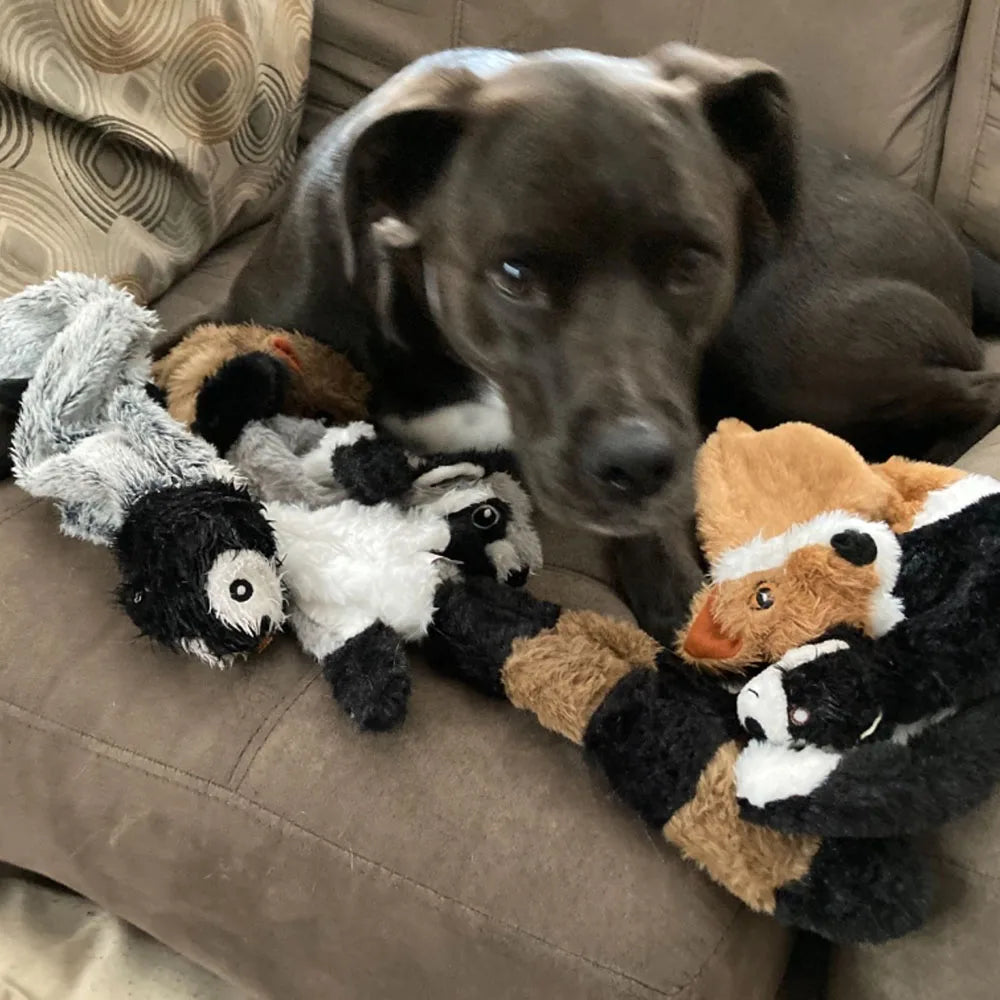 Squeaky Crinkle Toy