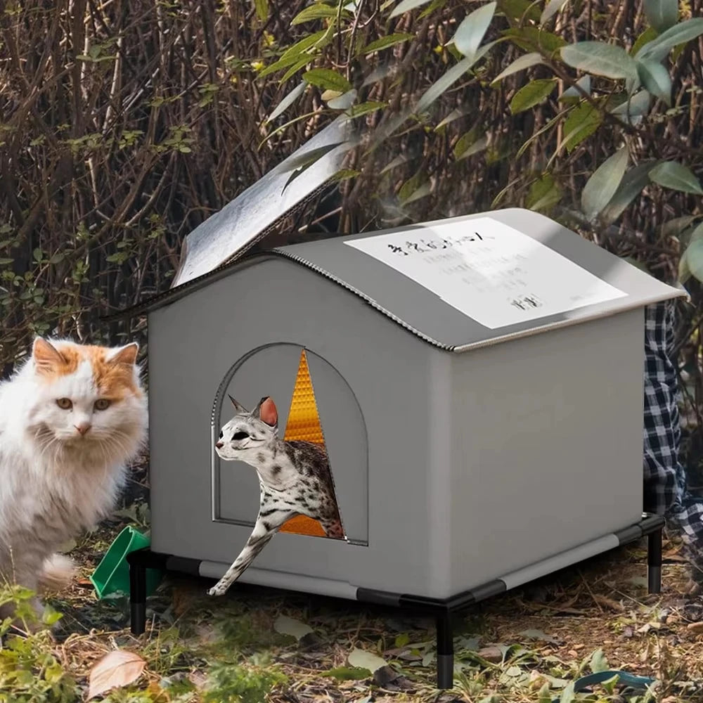 Winter Cat House