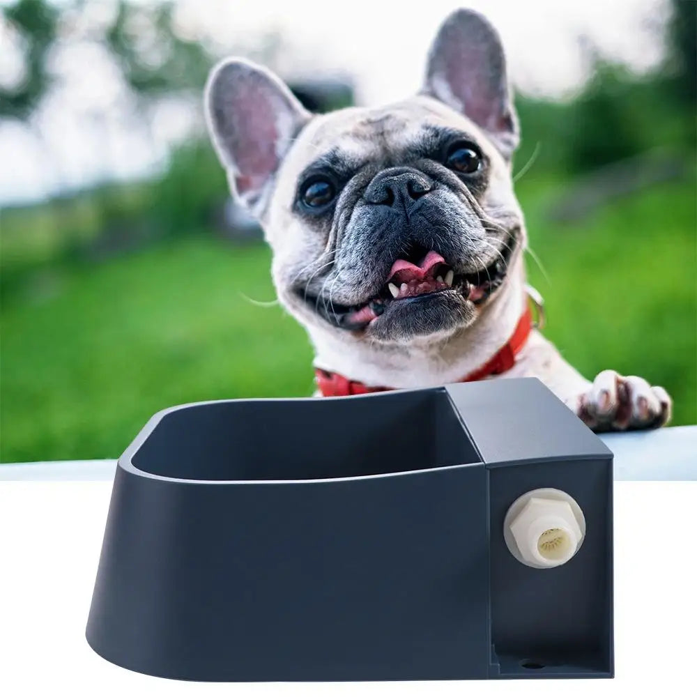 Auto Water Bowl