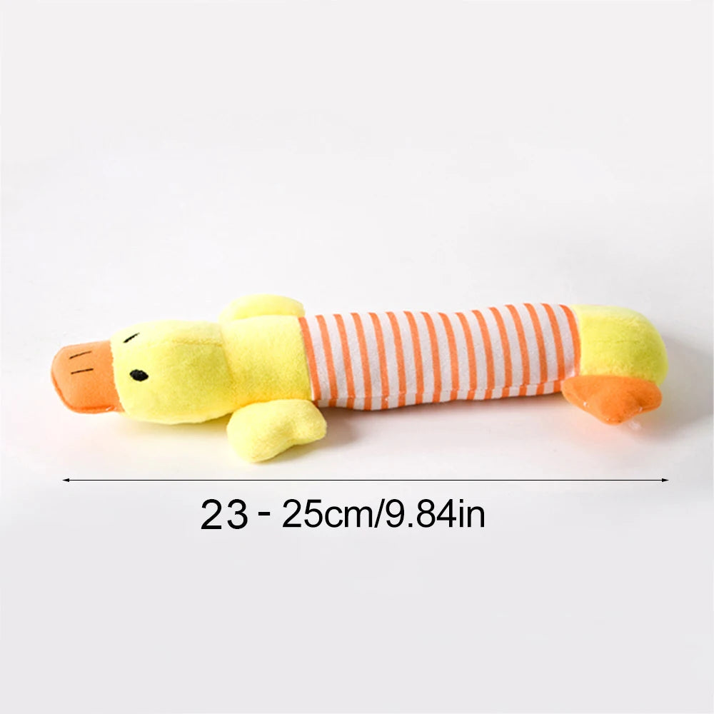 Squeaky Crinkle Toy