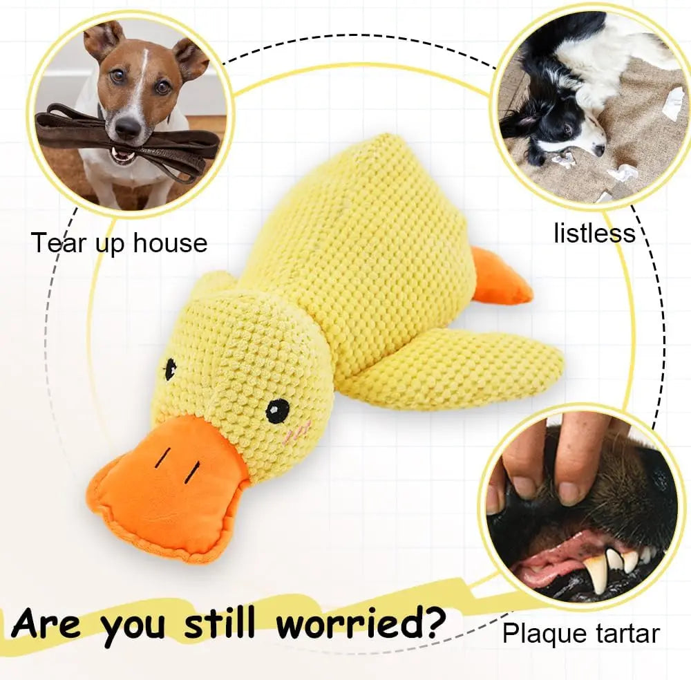 Quack Duck Toy