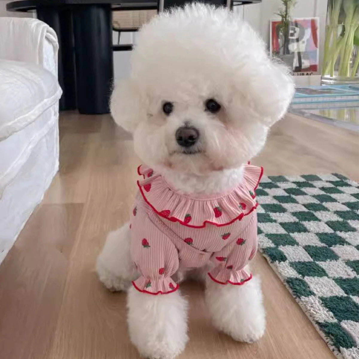 Strawberry Outfit