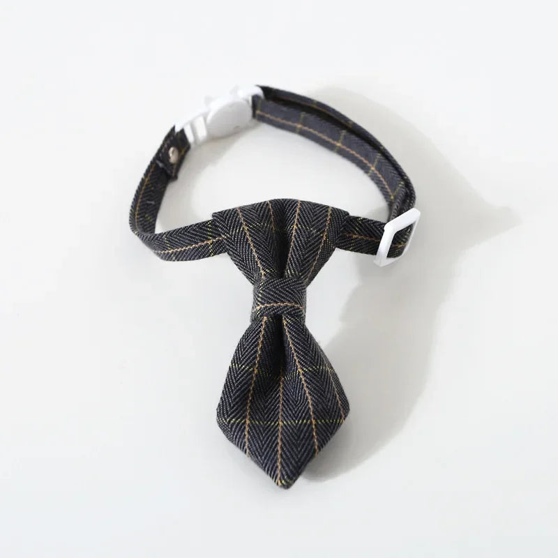 Cat Collar