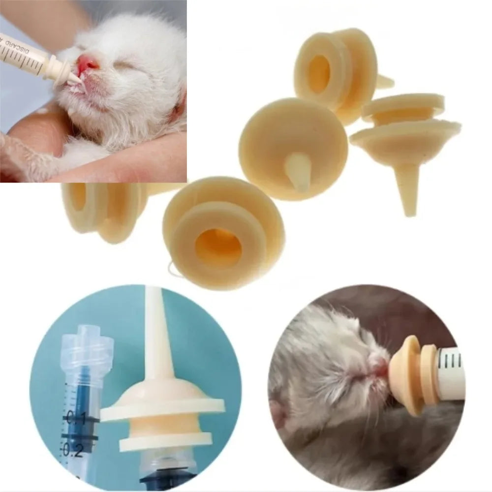 Feeding Syringe