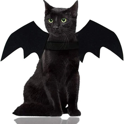 Bat Wings