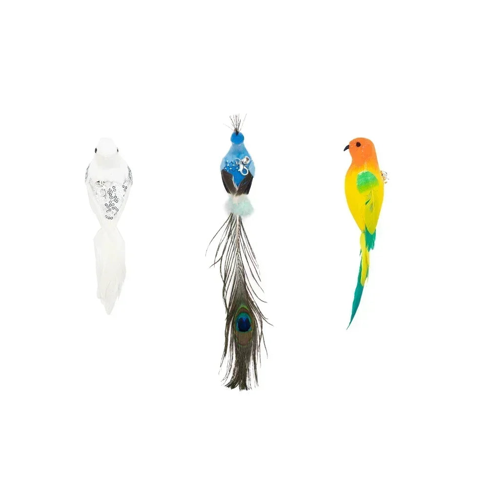 Peacock Teaser