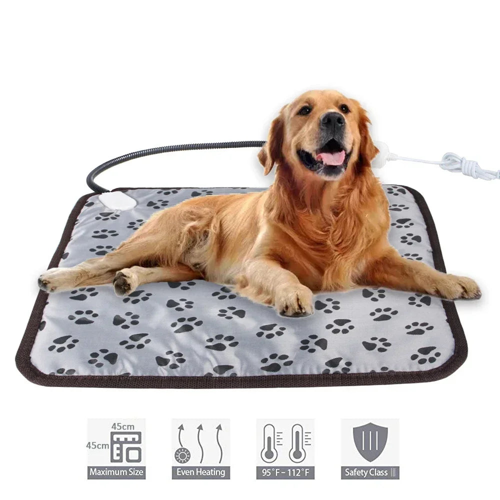 Heated Blanket