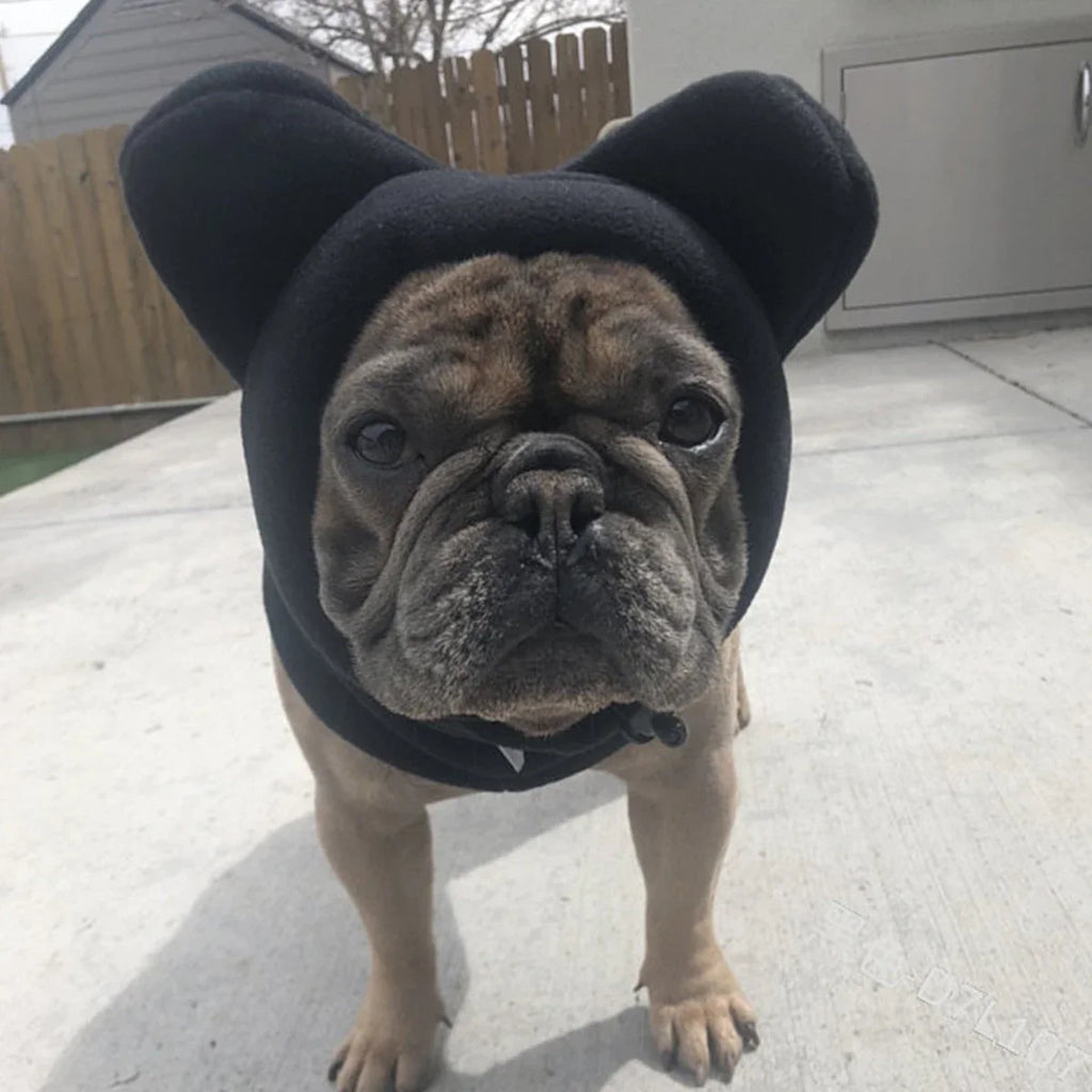 Bat Hat