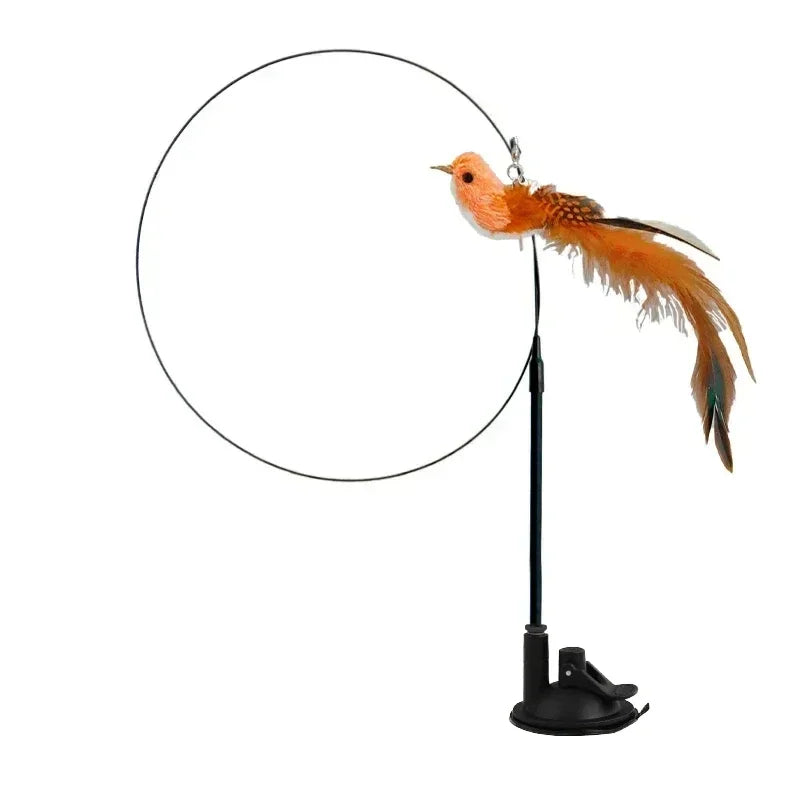 Peacock Teaser