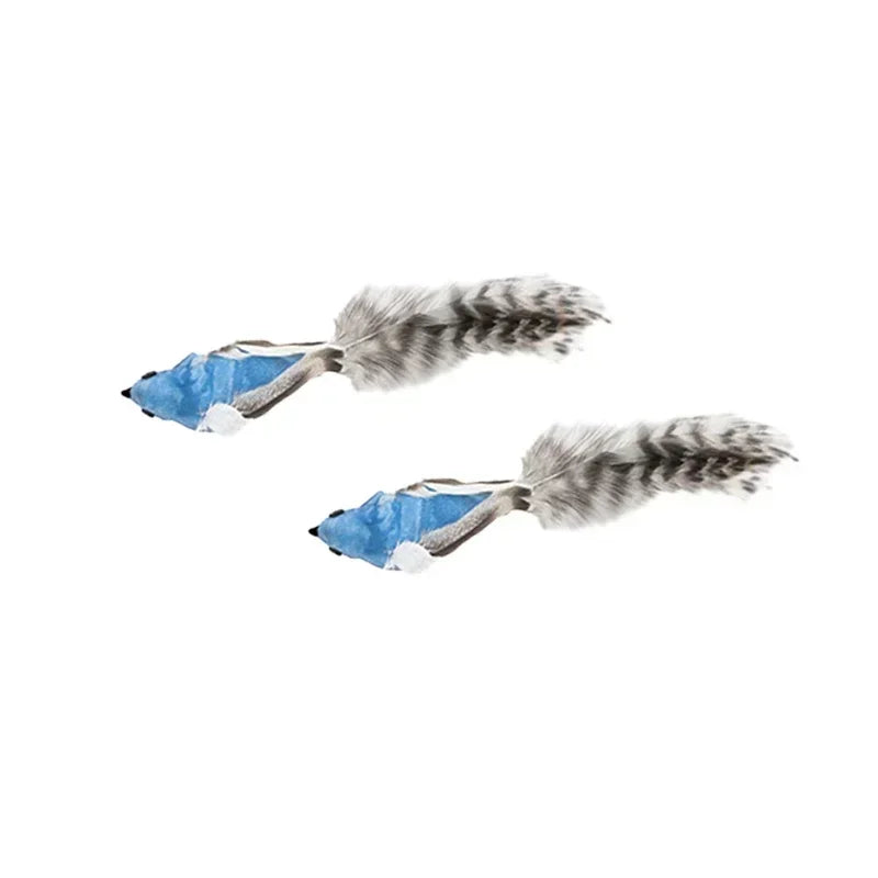 Peacock Teaser