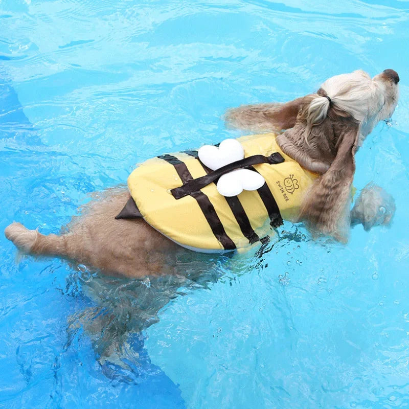 Life Jacket