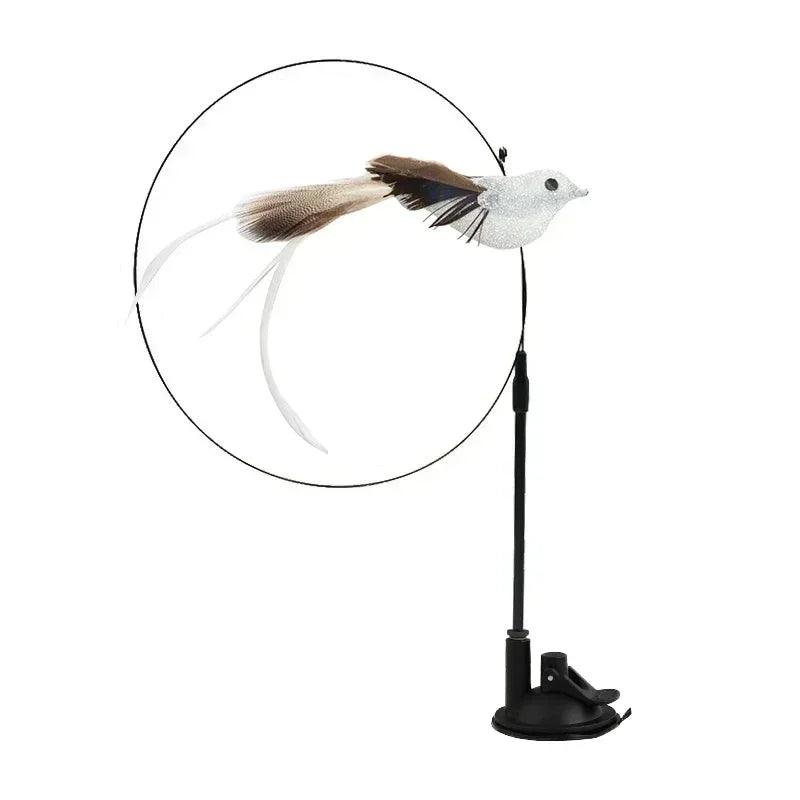 Peacock Teaser