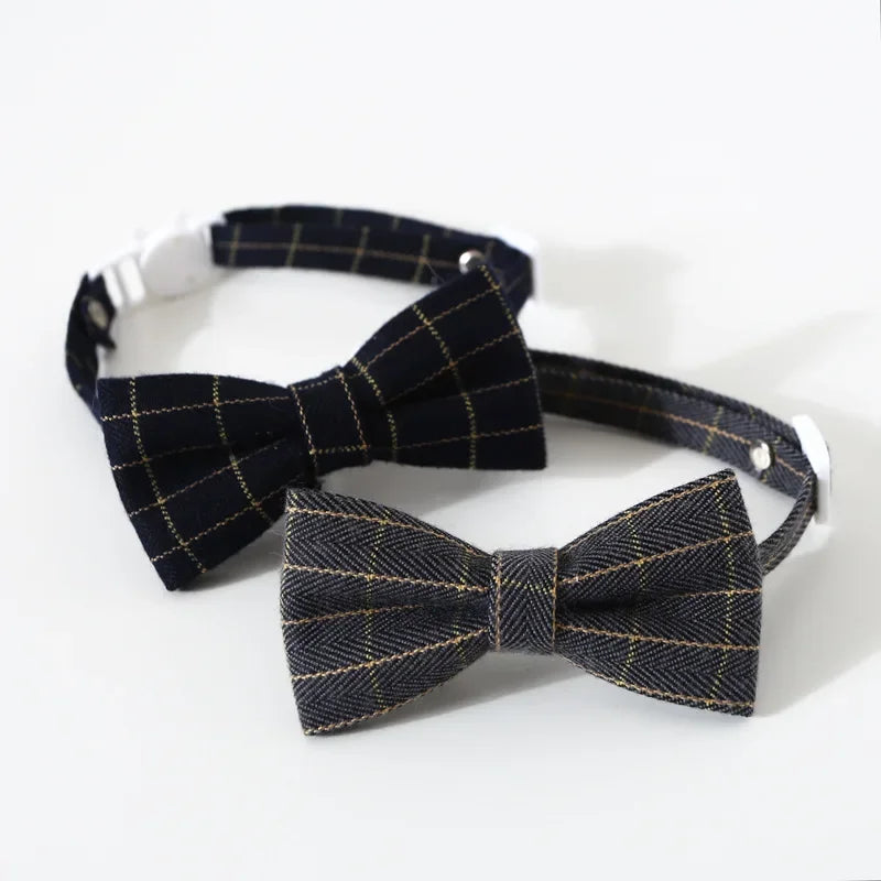 Cat Collar