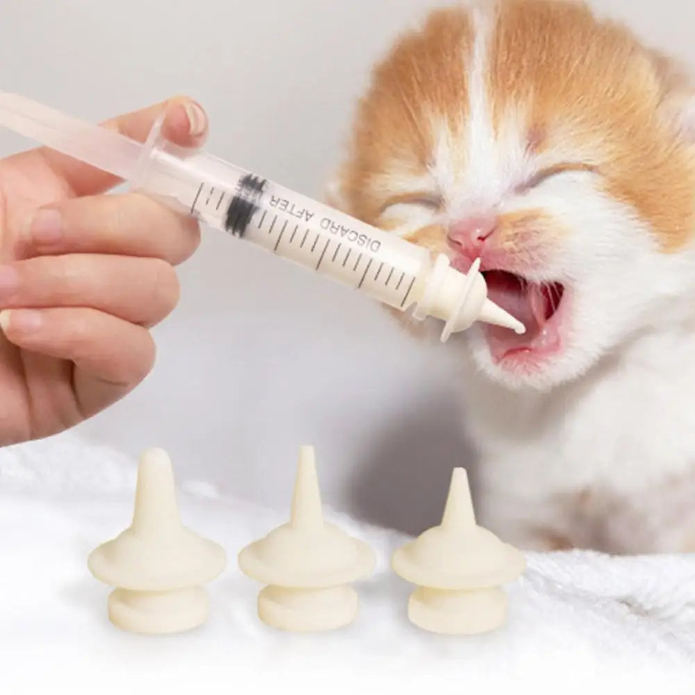 Feeding Syringe