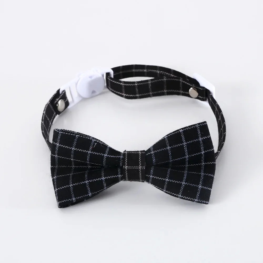 Cat Collar
