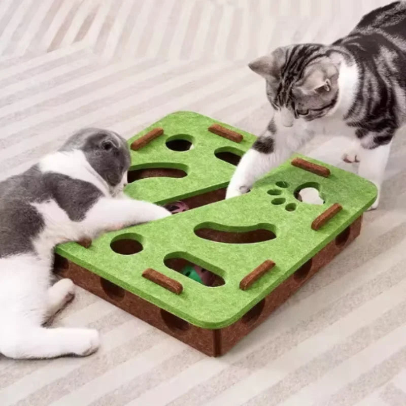 Puzzle Box