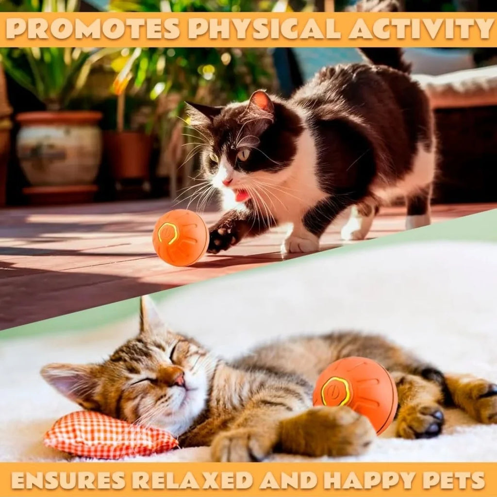 Smart Bouncing Ball