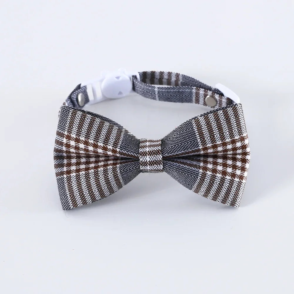 Cat Collar