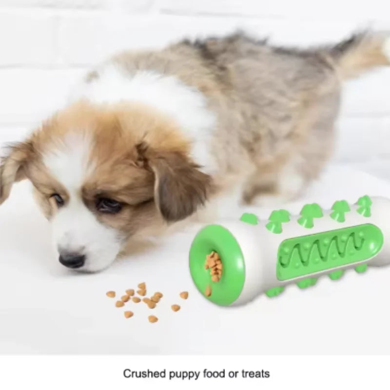 Dental Chew Brush