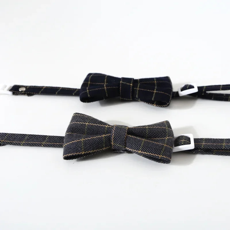 Cat Collar