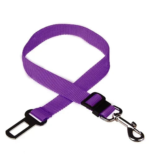 Car Safety Belt