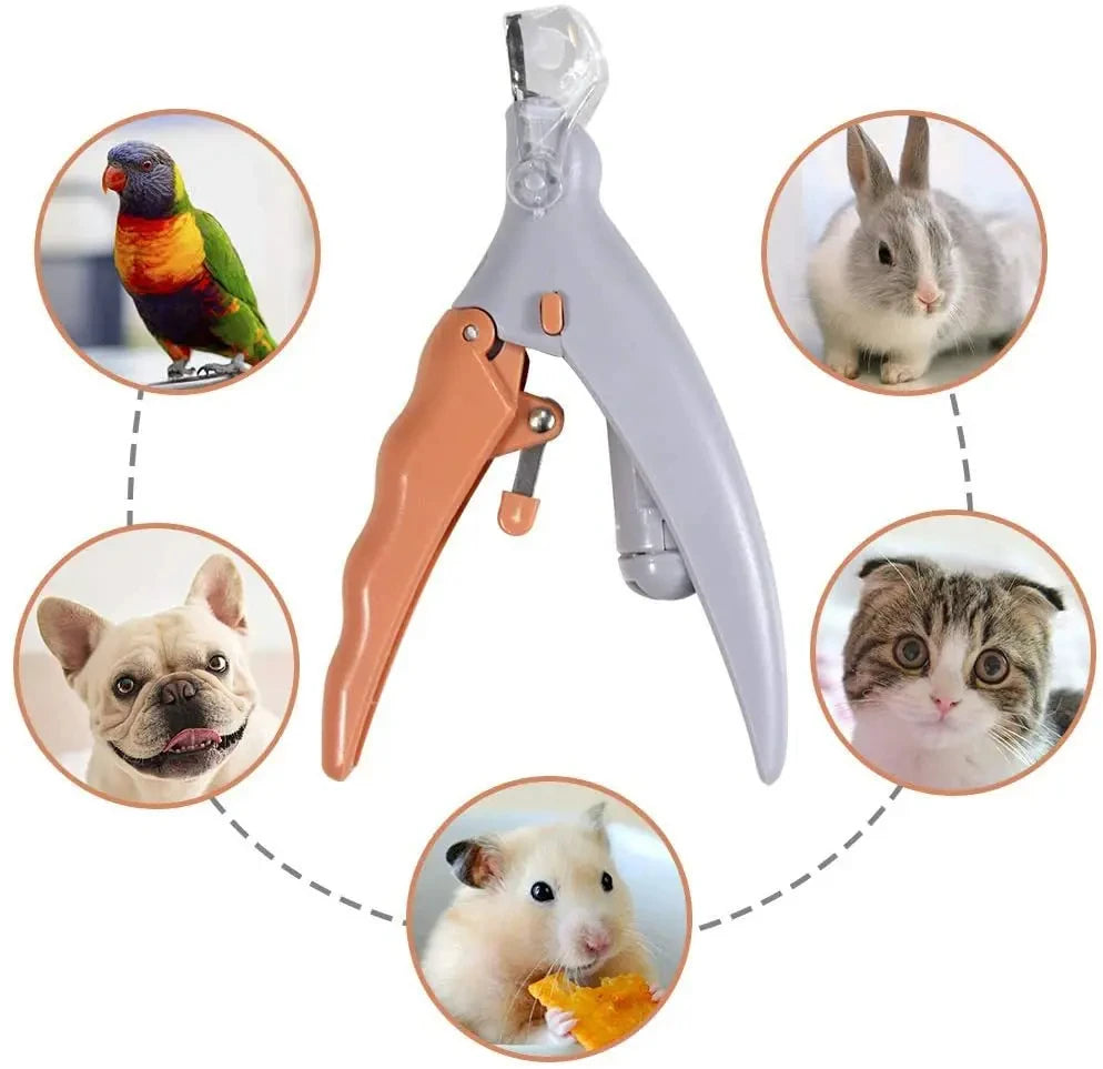LED Nail Clipper