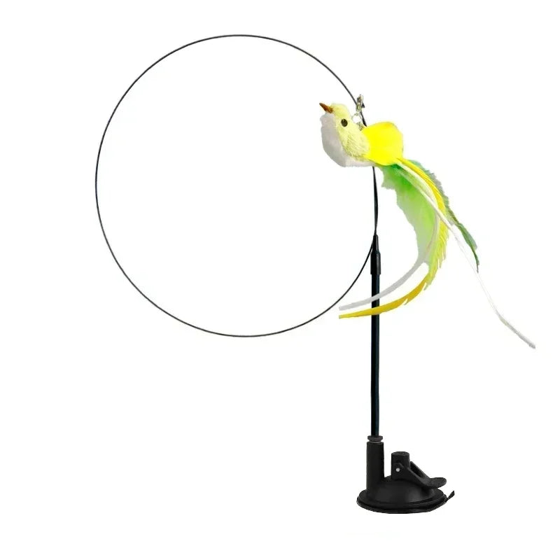 Peacock Teaser