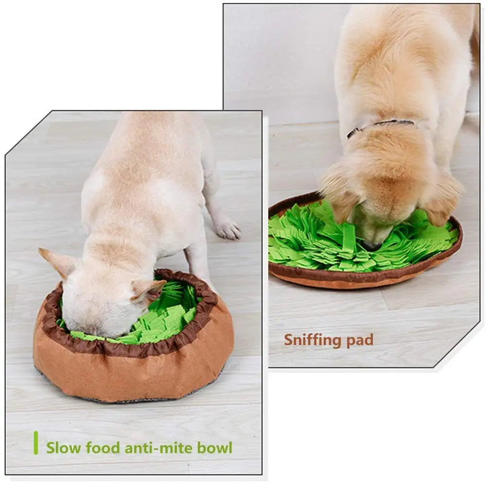 Snuffle Mat Pro