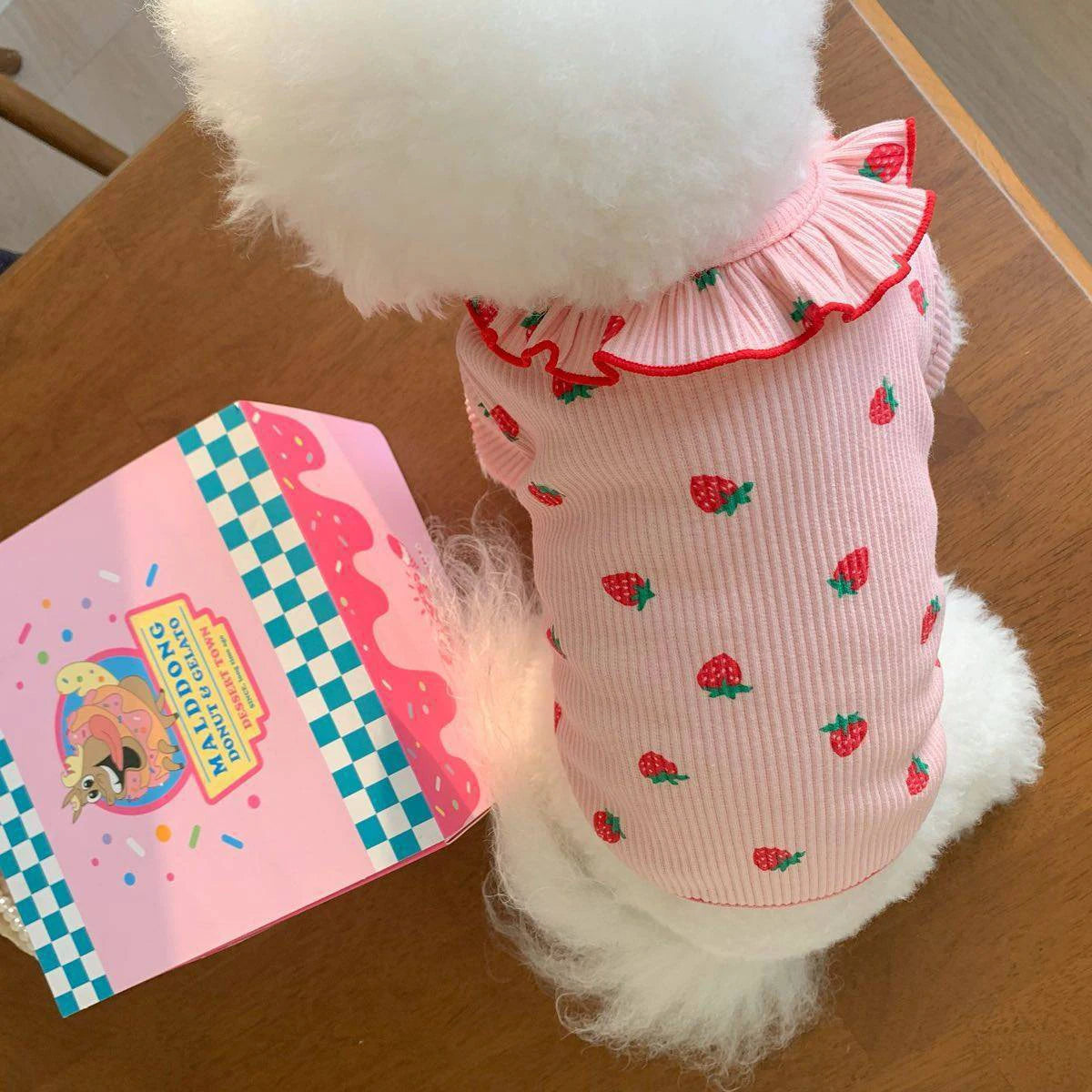 Strawberry Outfit