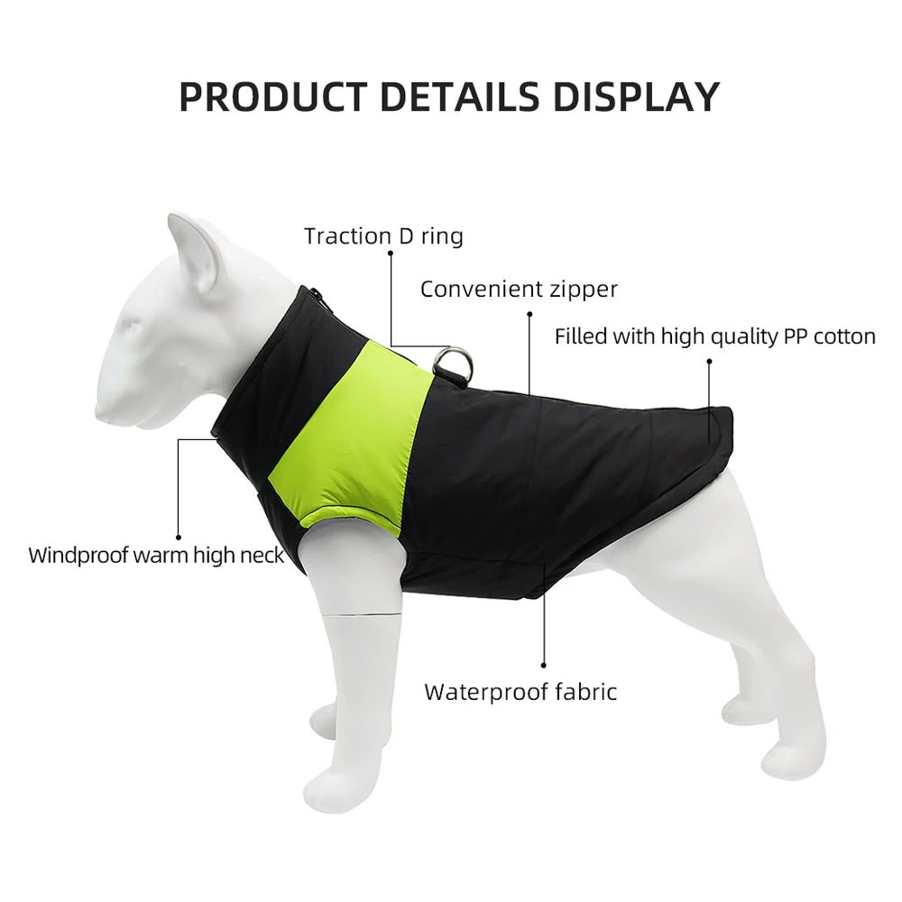 Winter Jacket