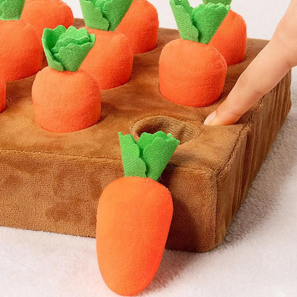 Carrot Snuffle Mat