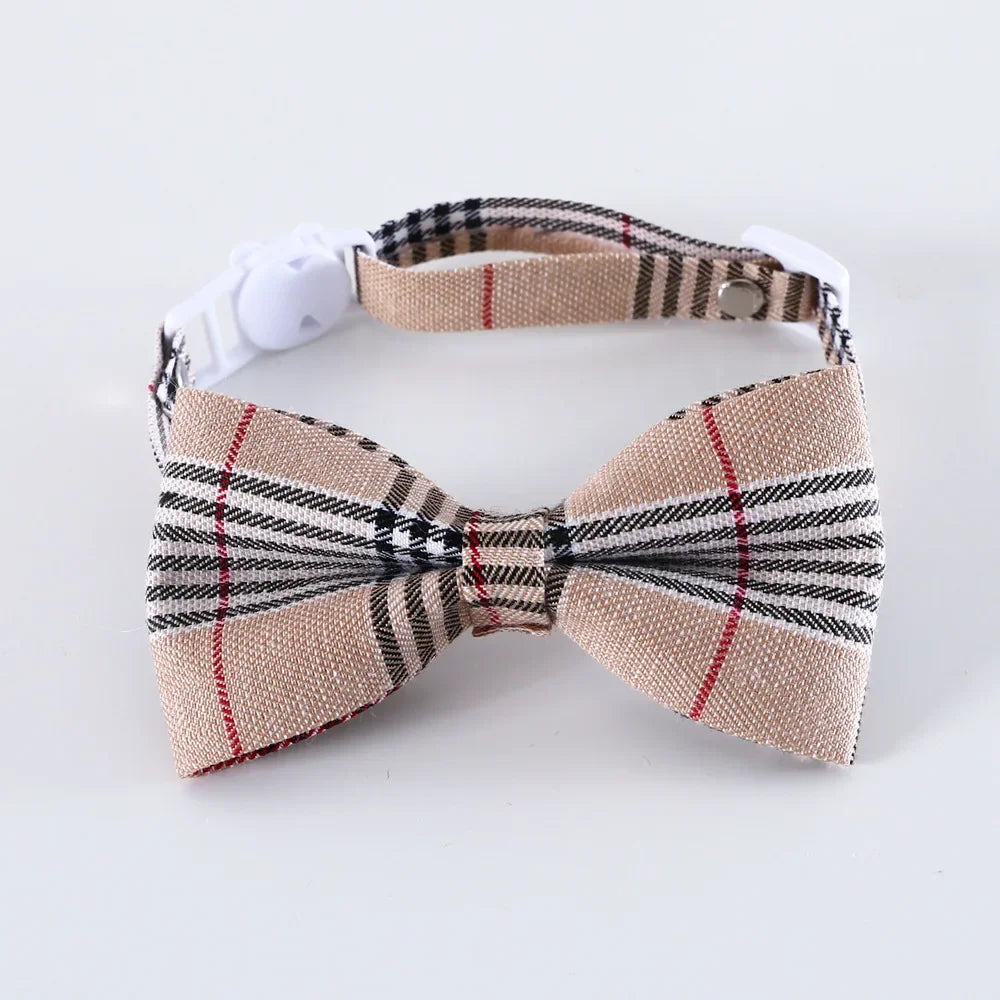 Cat Collar