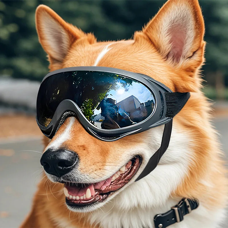 Dog Goggles