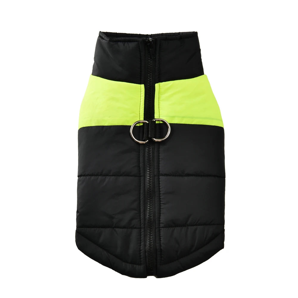 Winter Jacket
