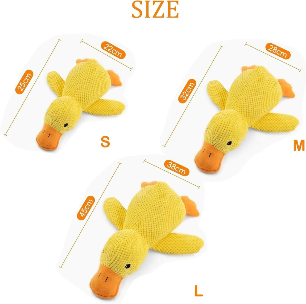 Quack Duck Toy