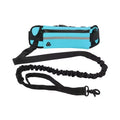 Hands-Free Leash