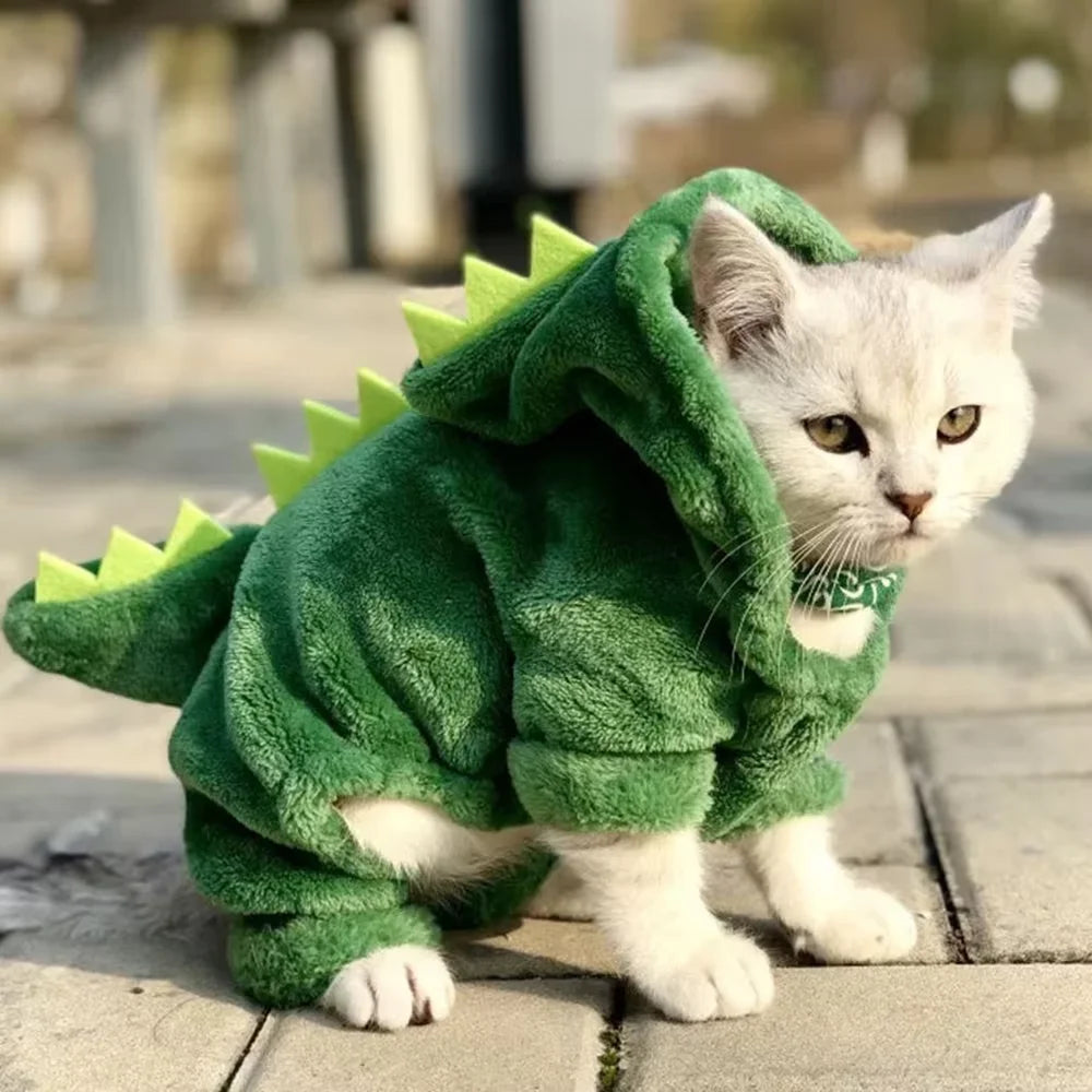 Dino Costume