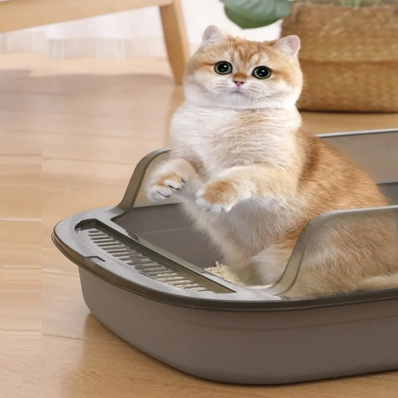 Litter Box