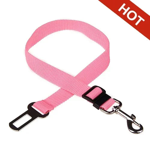 Car Safety Belt