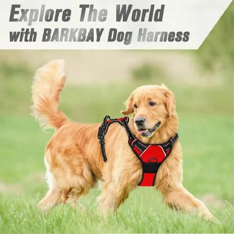Heavy Duty Harness