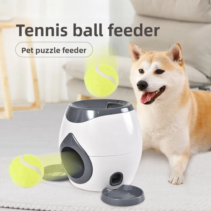 Ball Reward Machine
