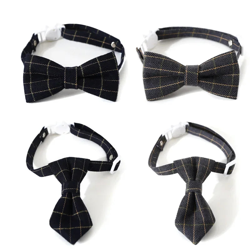 Cat Collar