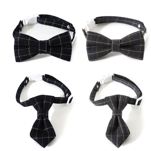 Cat Collar