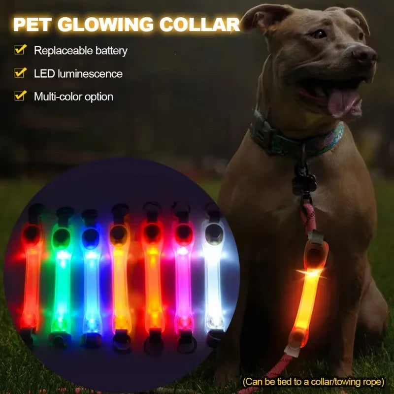 LED Harness Light