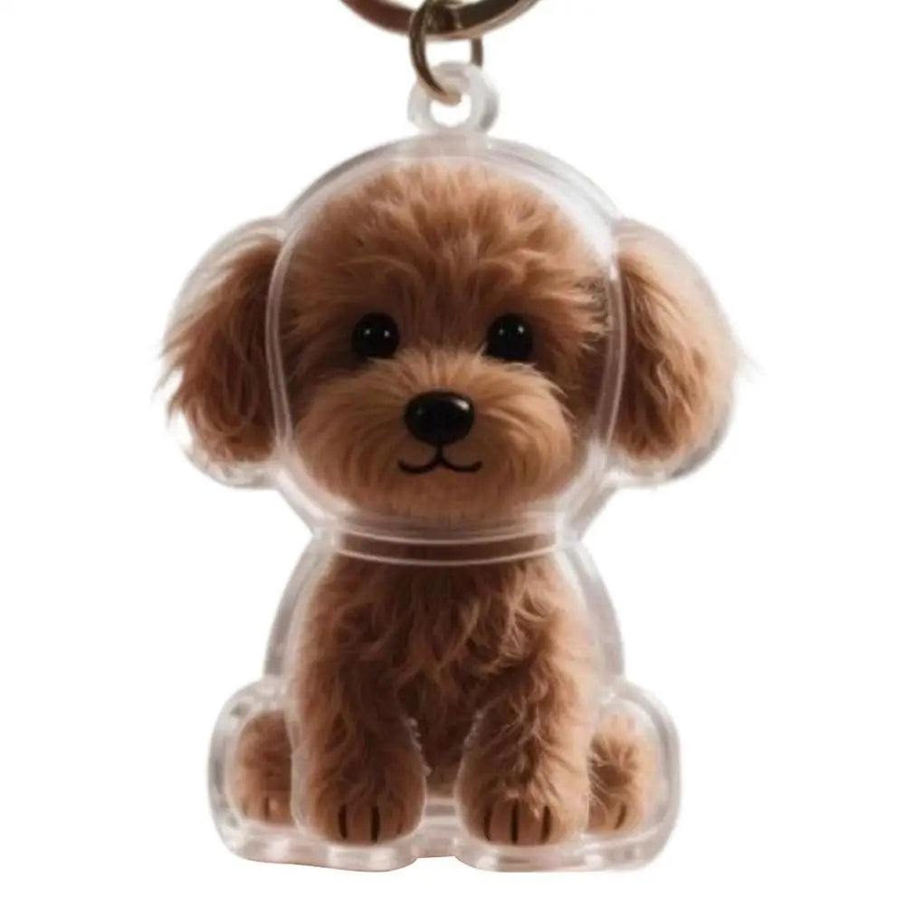 Fur Memory Charm