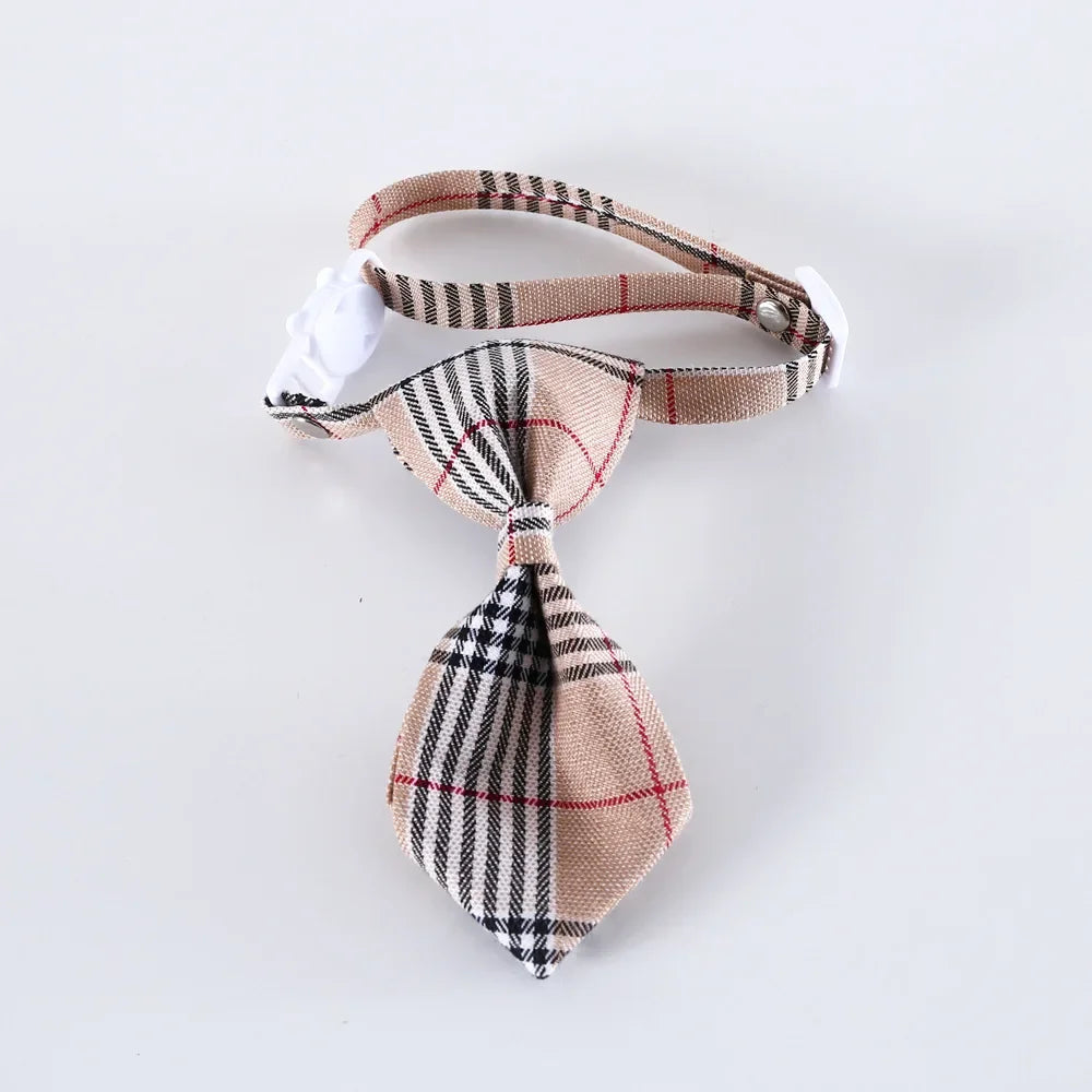 Cat Collar