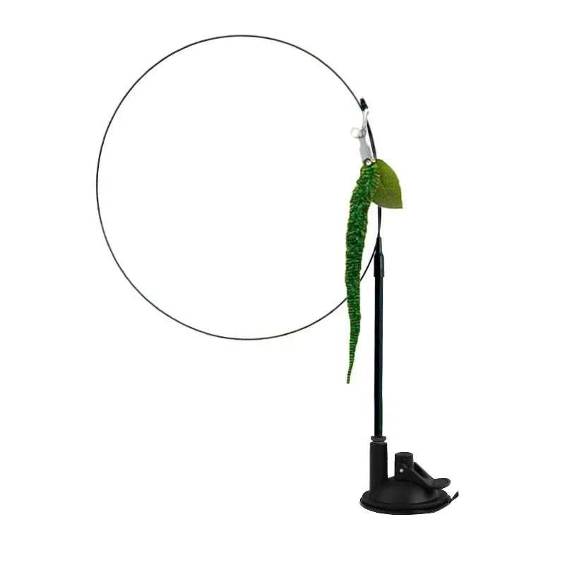 Peacock Teaser