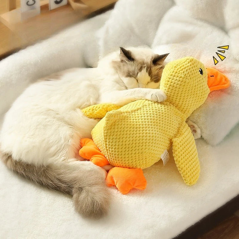 Quack Duck Toy