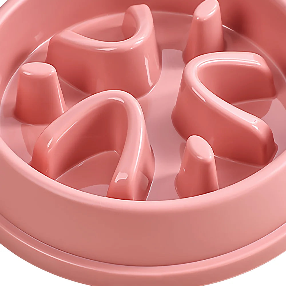 Slow Feeder Bowl