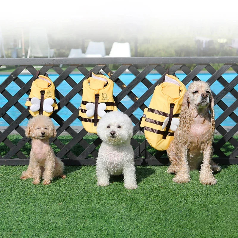 Life Jacket